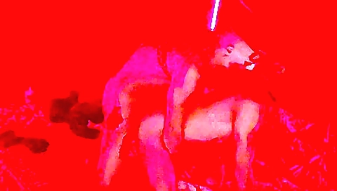 Mas edgy fuck with a dildo and cum dilettante chats limits